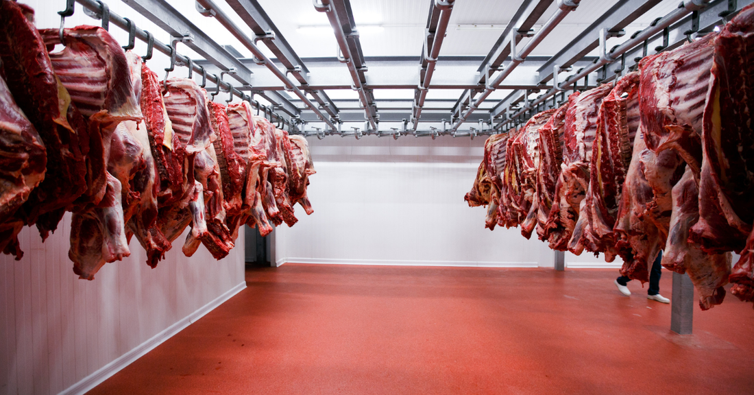 Best Non Slip Floor Dry Absorbents for Slaughterhouses